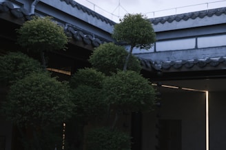 An outdoor courtyard features neatly trimmed topiary trees with rounded foliage. The architecture includes traditional styles with a tiled roof and exposed wooden beams, creating a serene and organized aesthetic. The lighting appears soft, and there is a subtle play of light and shadow.
