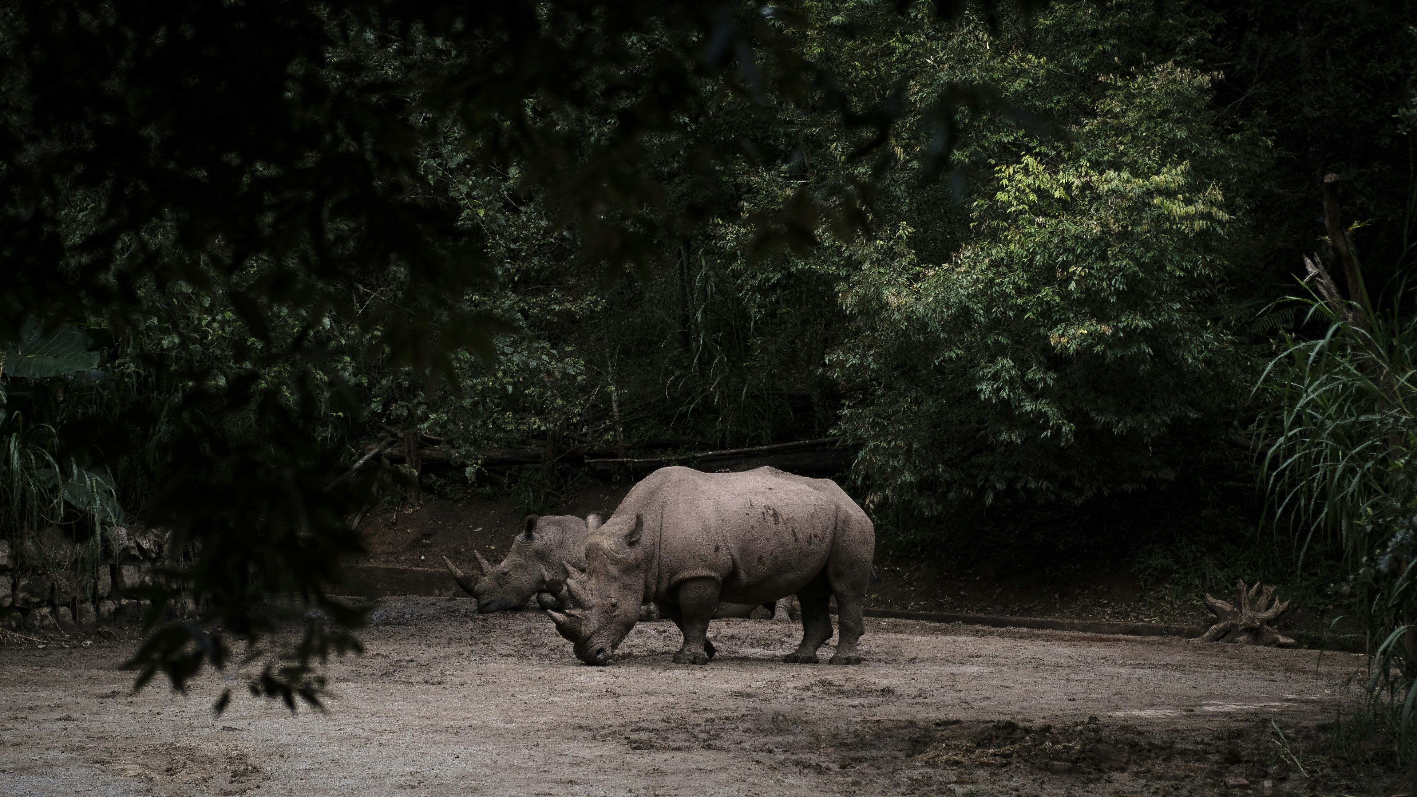 Book Your Consultation