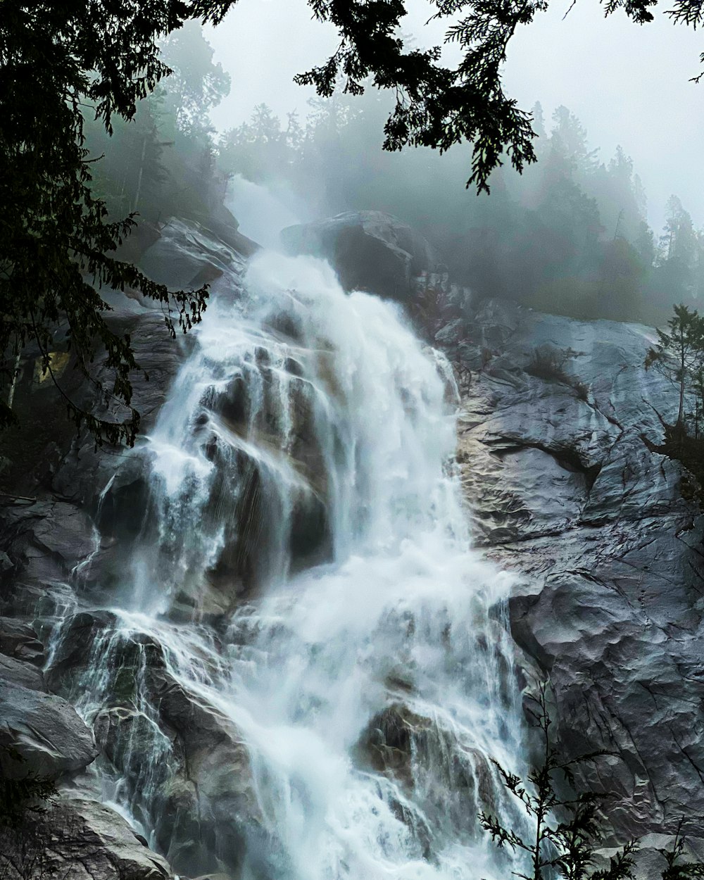 a waterfall in the middle of a forest on a foggy day