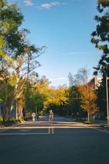 Illustration of a sunny village road with shared cars driving and people biking.