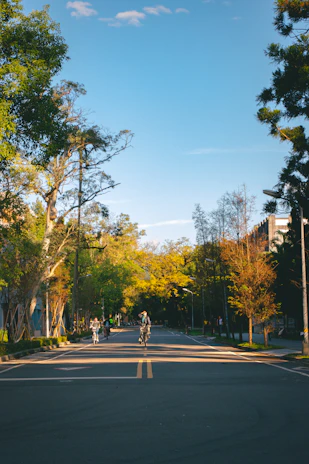 Illustration of a sunny village road with shared cars driving and people biking.