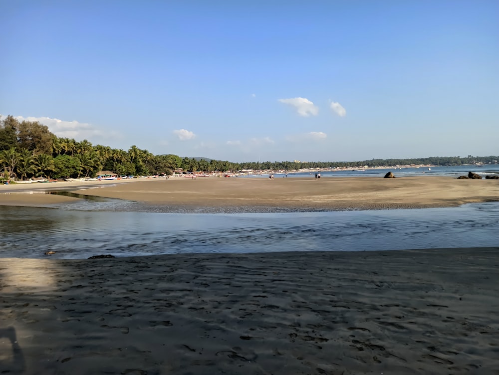 a sandy beach next to a body of water