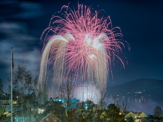 A vibrant night sky illuminated by a colorful burst of fireworks over a lakeside town.