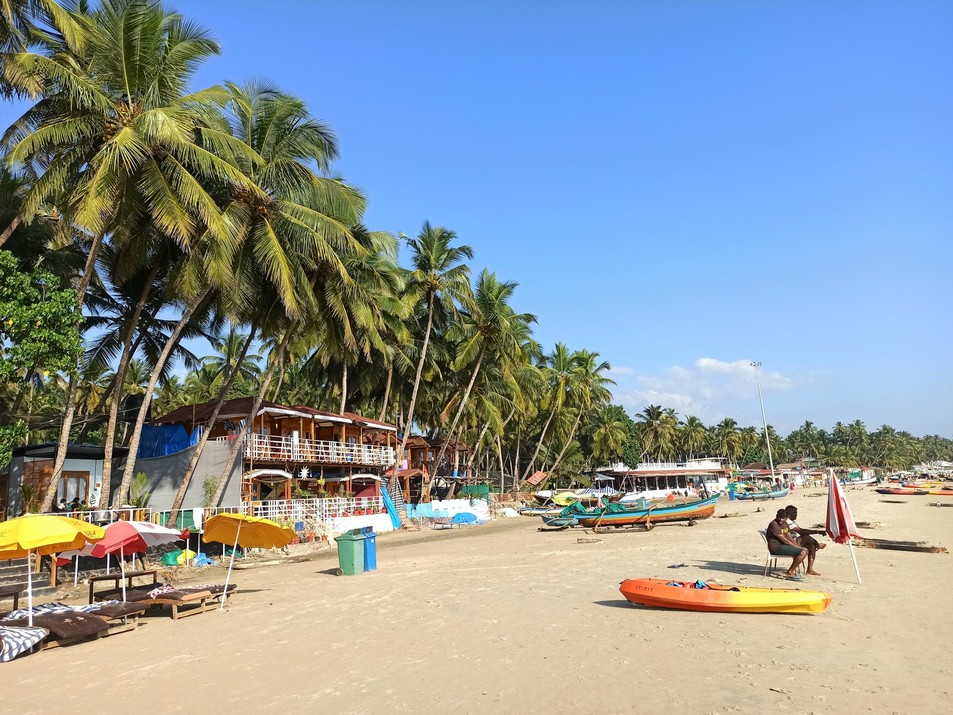 a beach filled with lots of palm trees