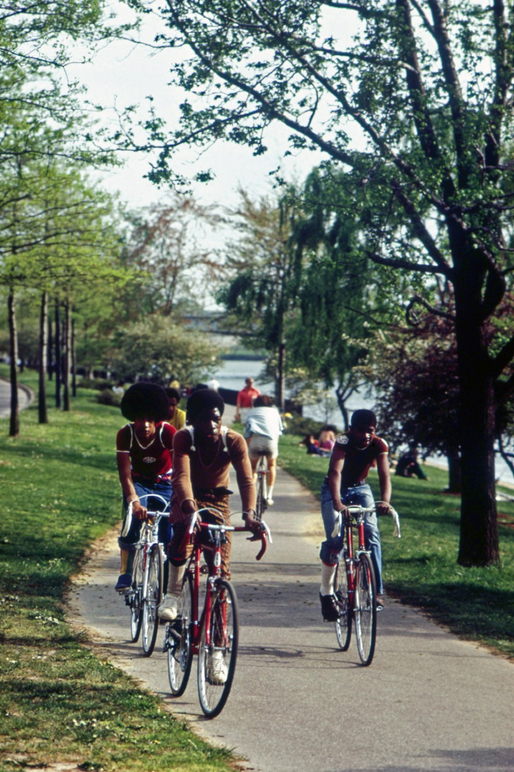 a group of people riding bikes down a sidewalk