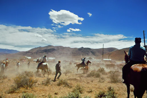 A group of people interacting with horses in an open field during a team session.