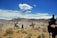 A group of riders on horseback engage in an activity on a dusty, open field surrounded by low mountains under a bright blue sky with some clouds. The scene is dynamic, with dust being kicked up by the horses, and several structures or vehicles visible in the background.