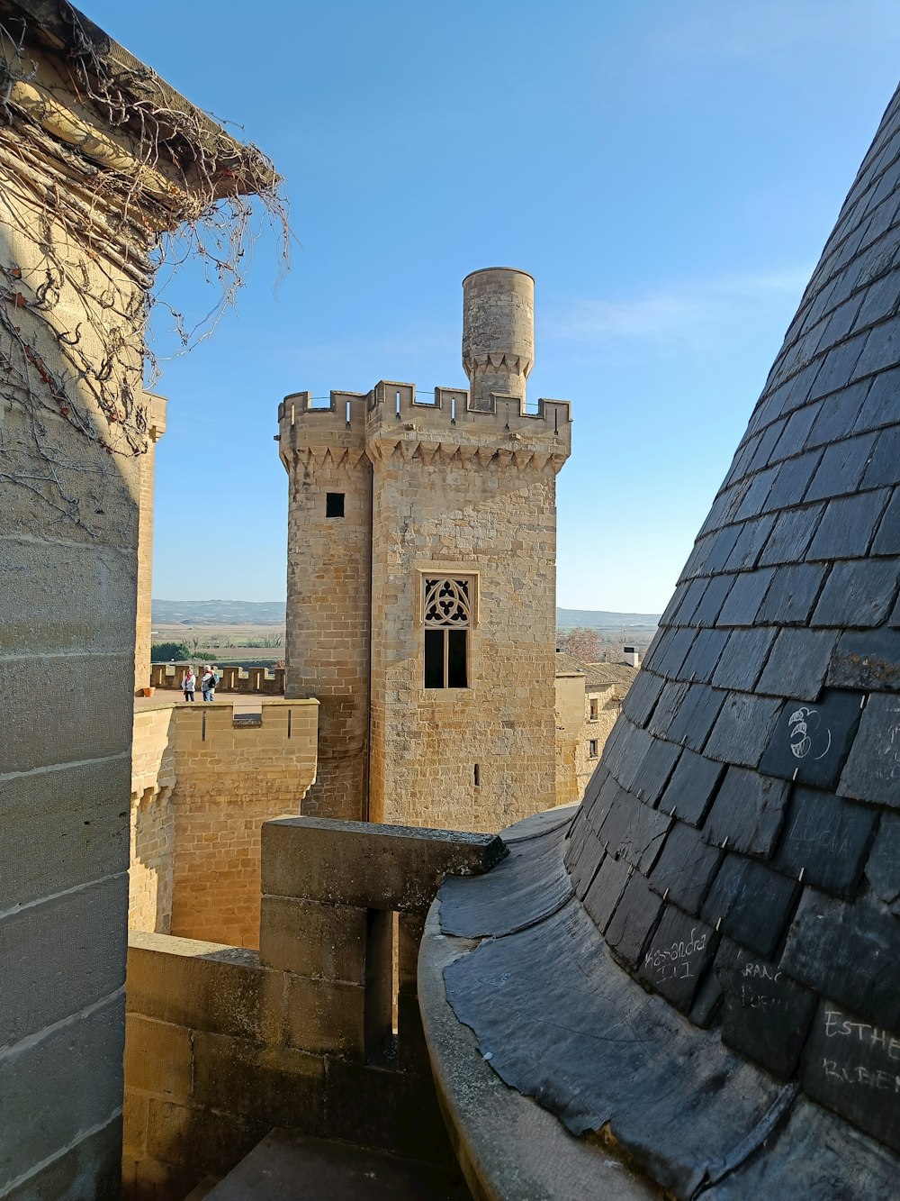 une vue d’un château depuis un toit
