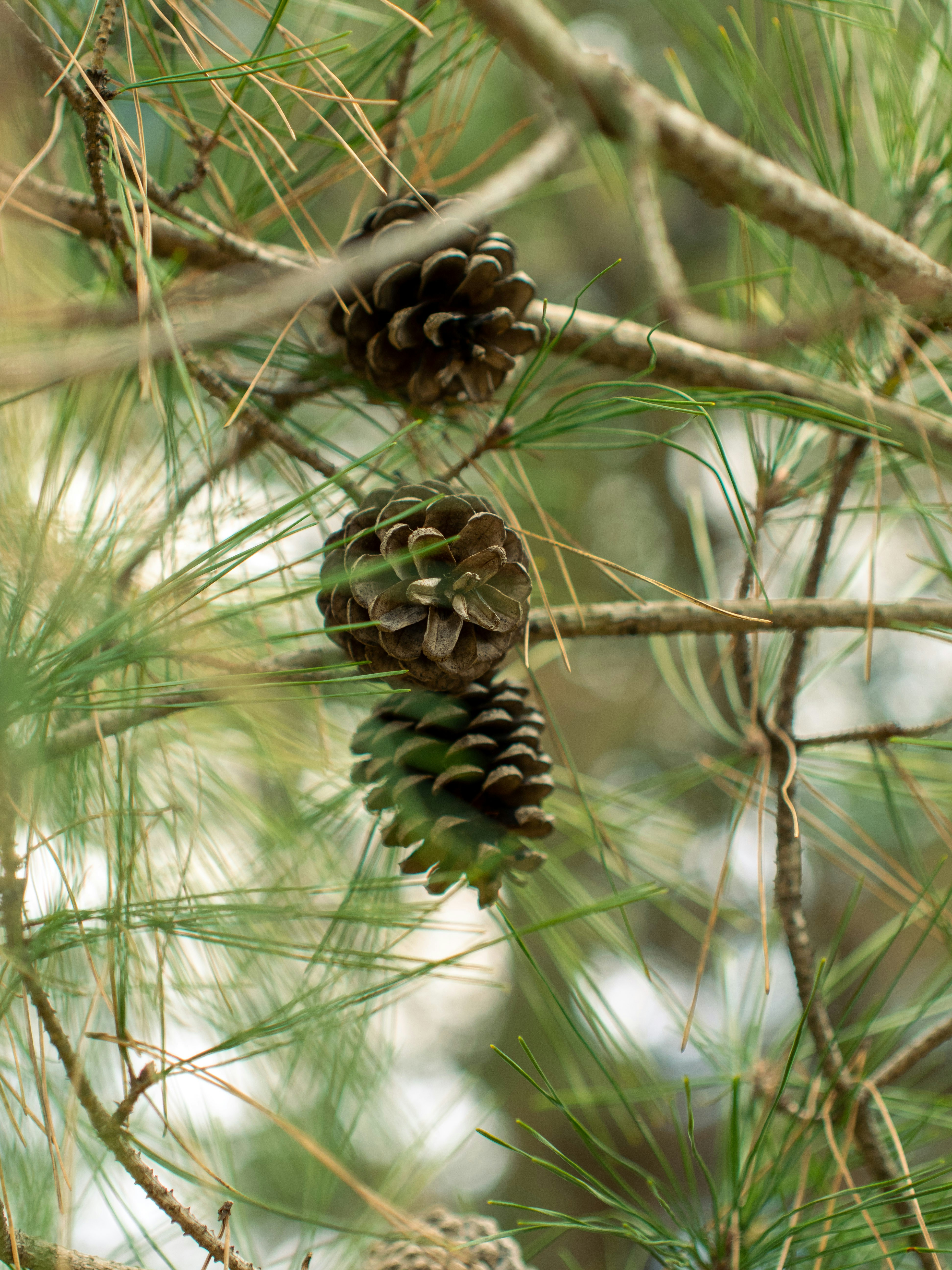 Photo by shellingfordyu