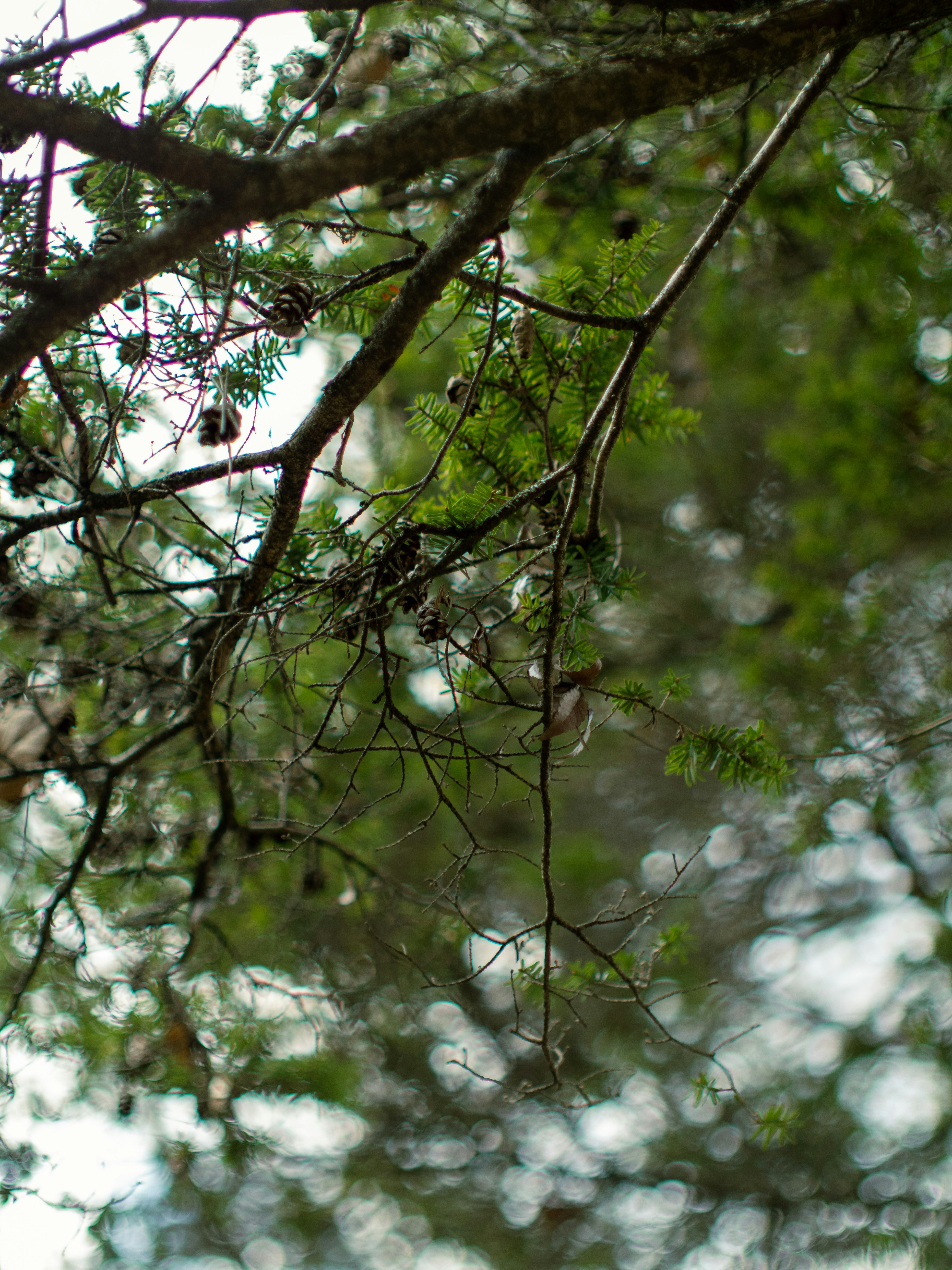 Photo by shellingfordyu