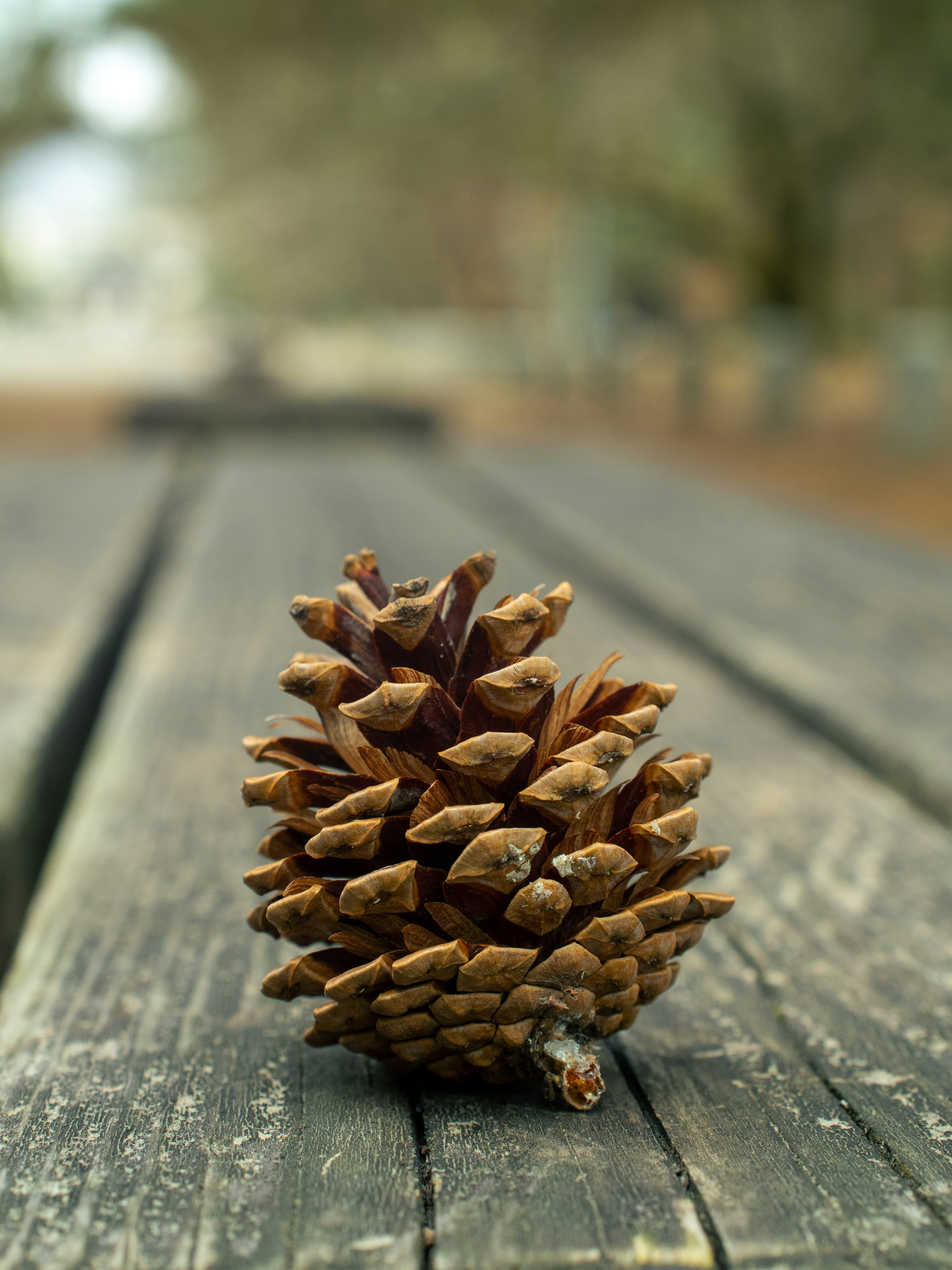 Photo by shellingfordyu