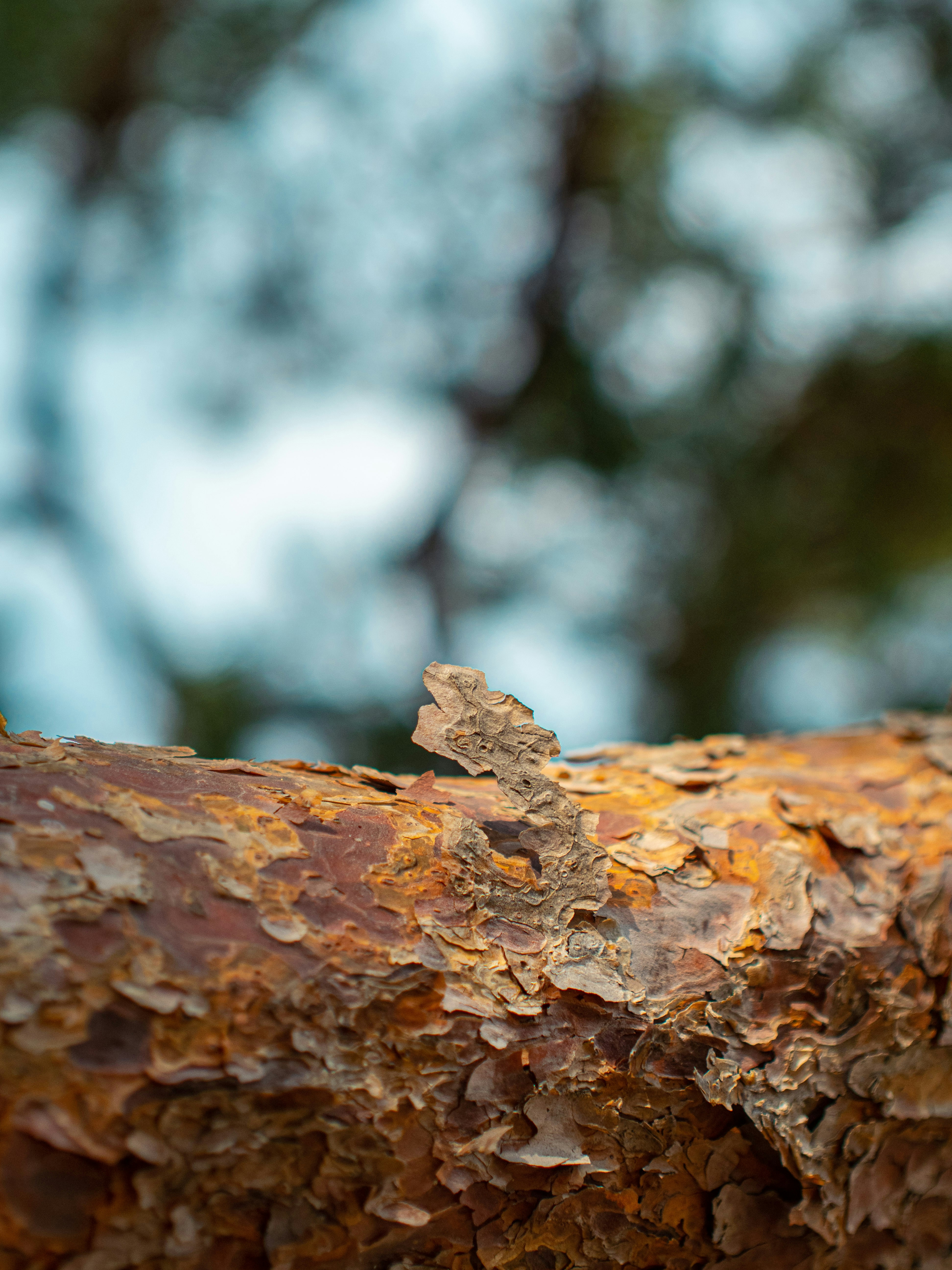 Photo by shellingfordyu