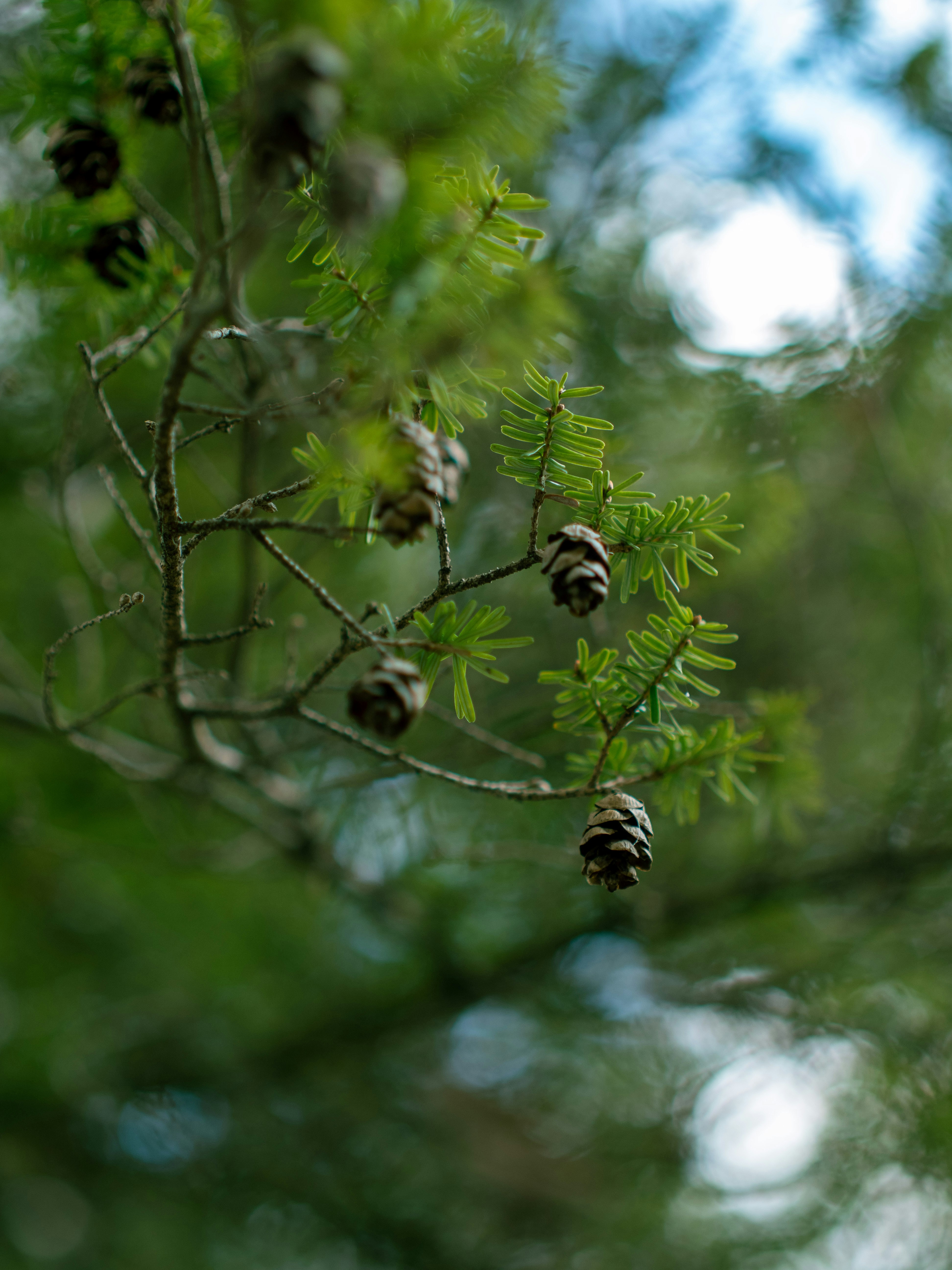 Photo by shellingfordyu