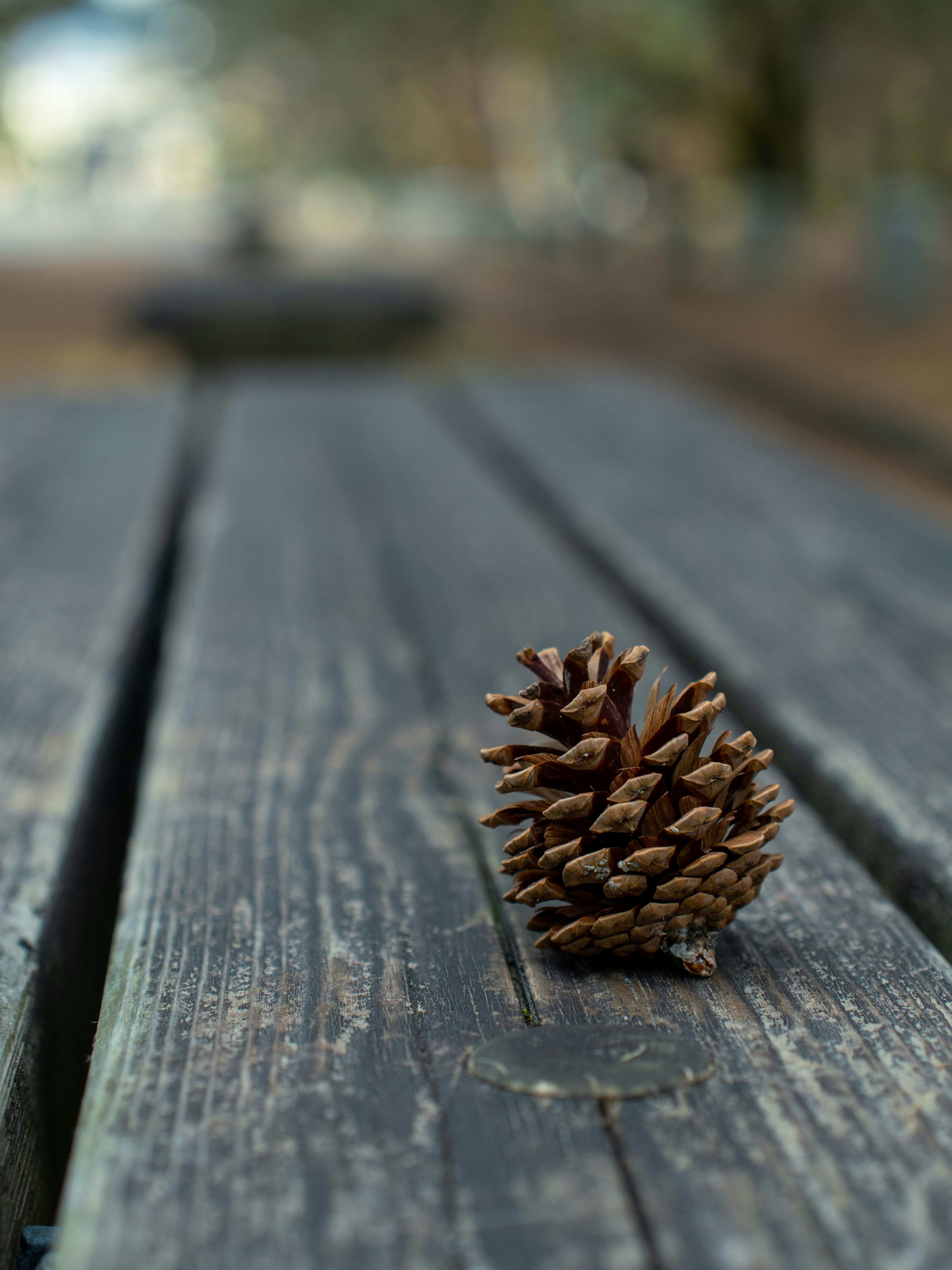 Photo by shellingfordyu