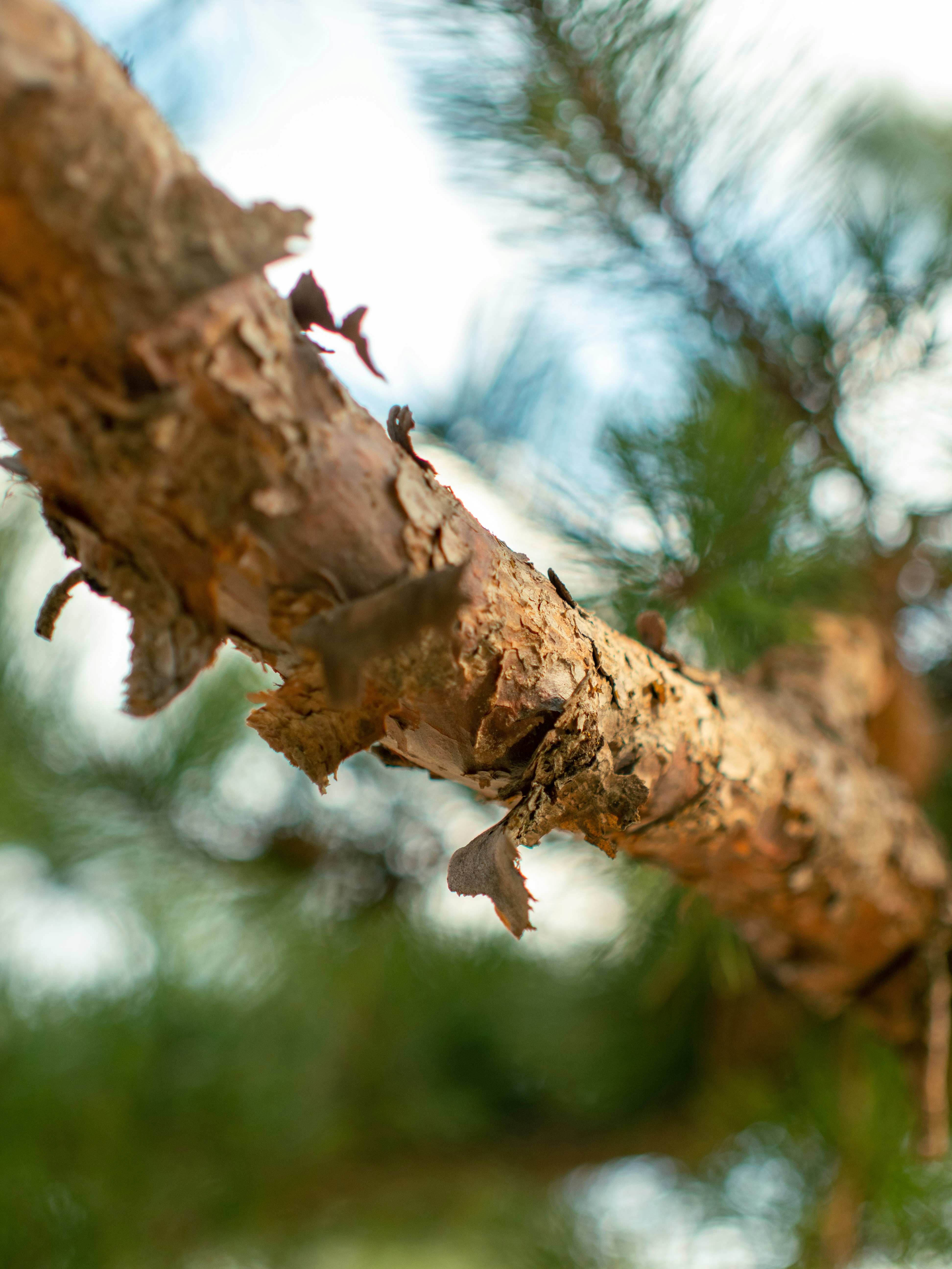 Photo by shellingfordyu