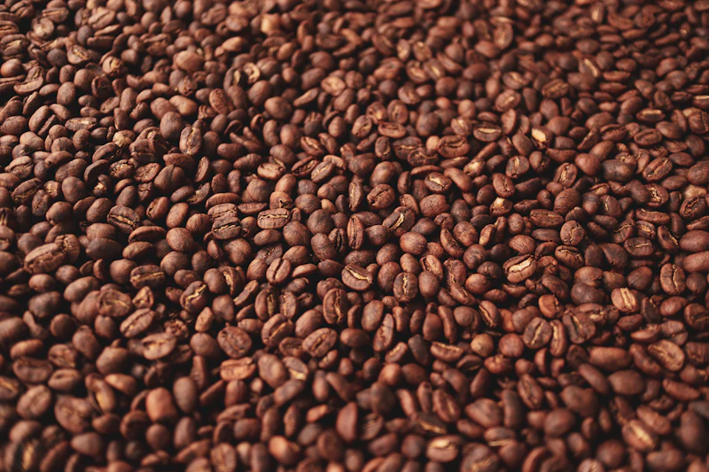Coffee beans in the roastery