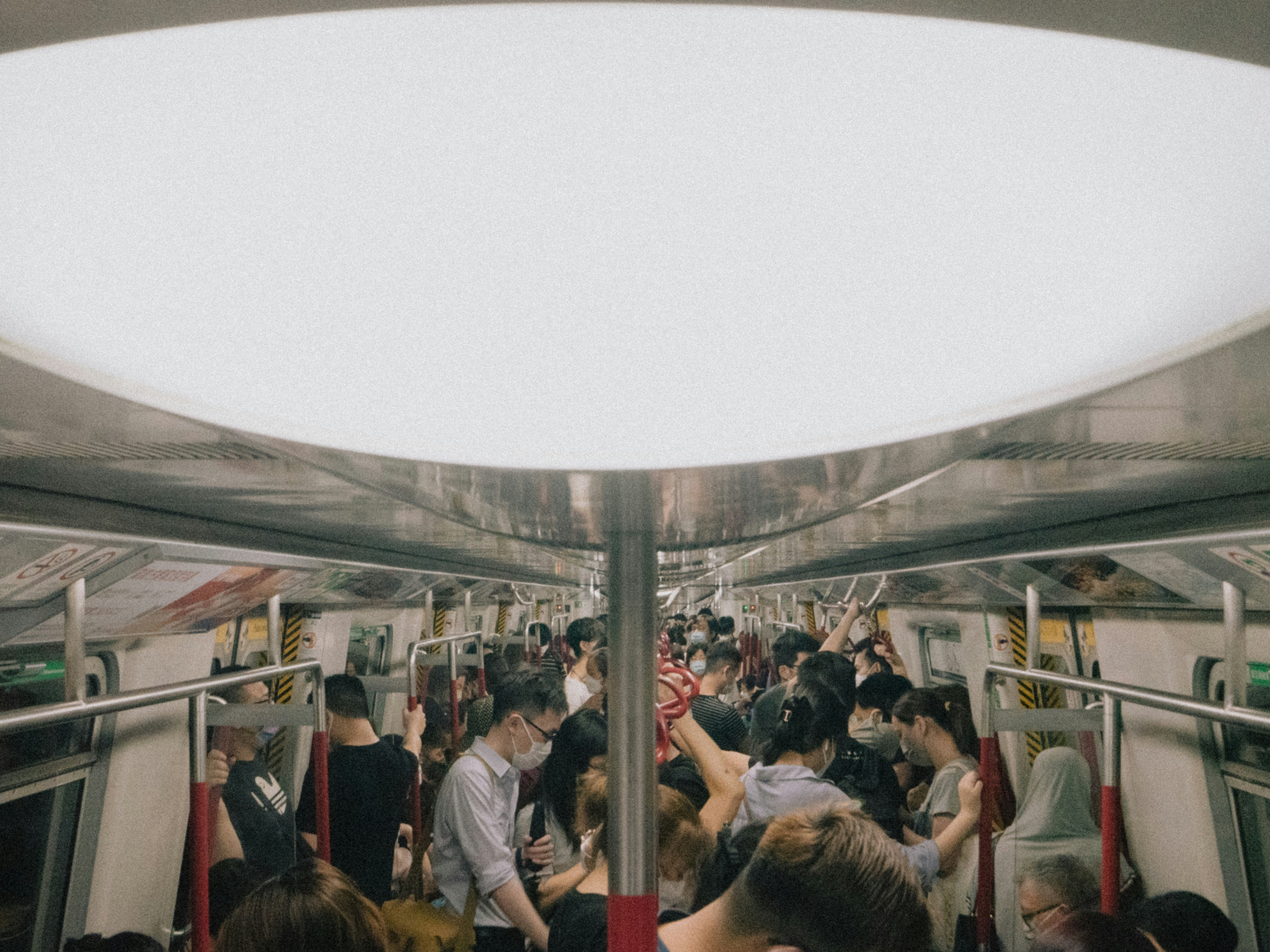 Photo by catgirlmutant