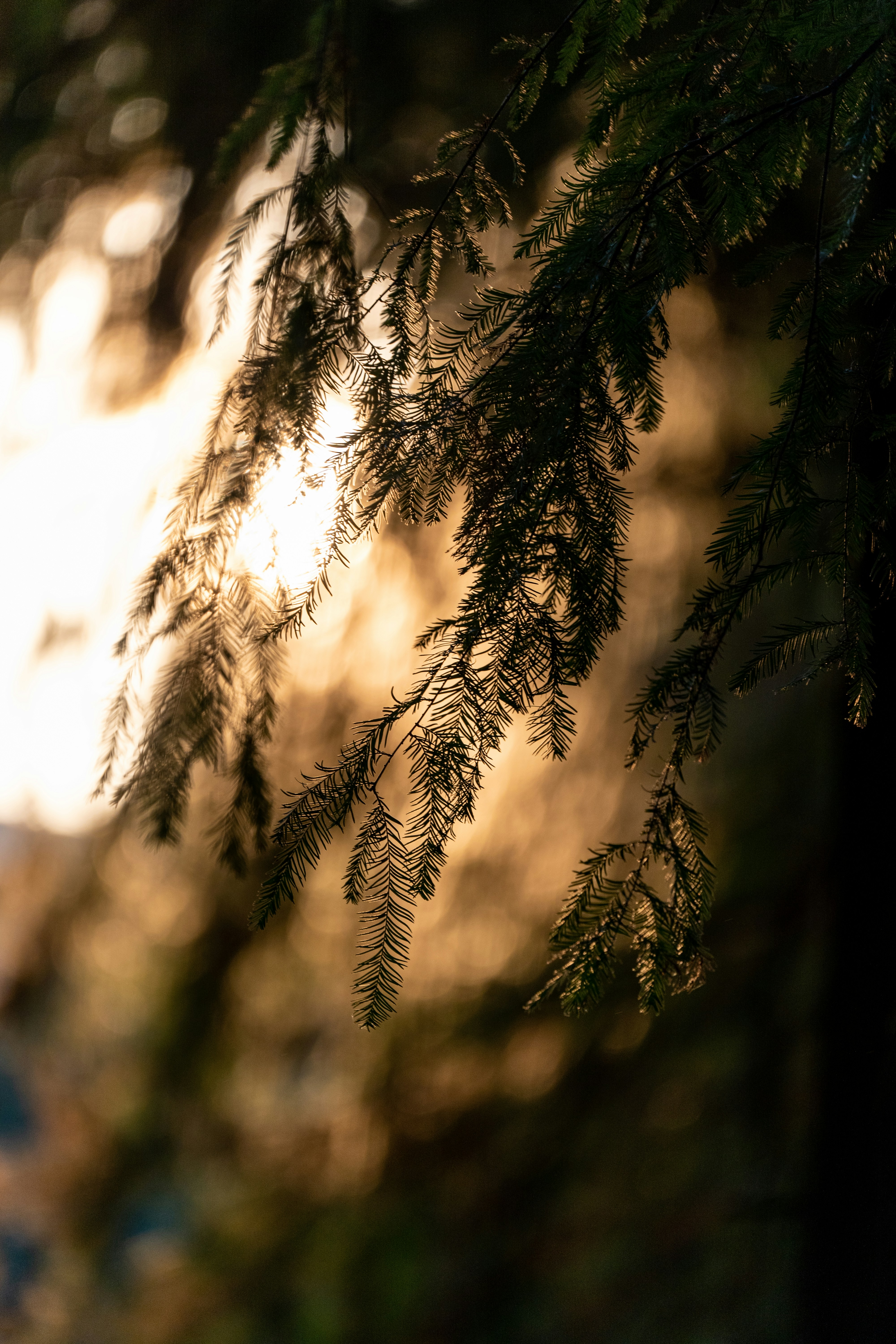 Photo by msz010dzeta