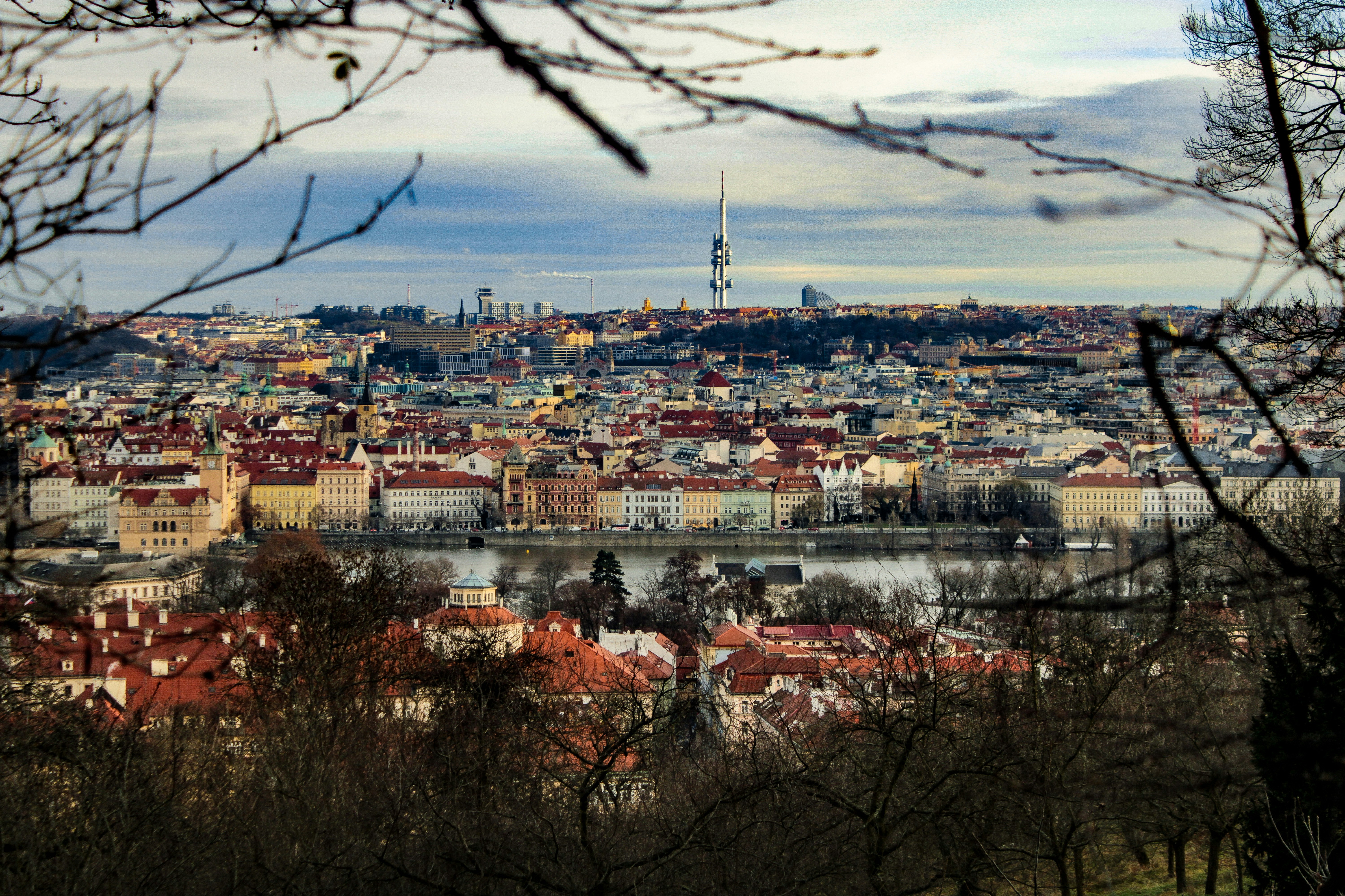 a view of a city from a distance, 