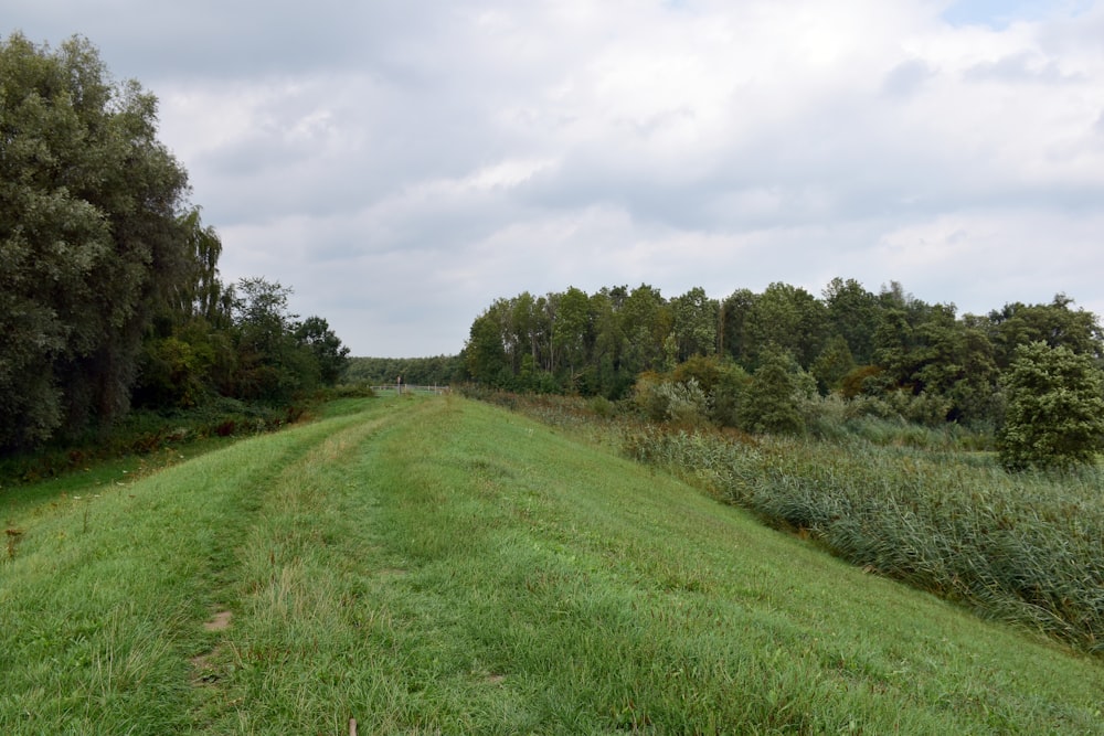 a dirt road in the middle of a lush green field