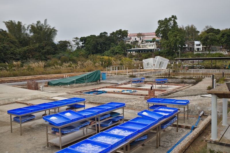 Swimming pool construction