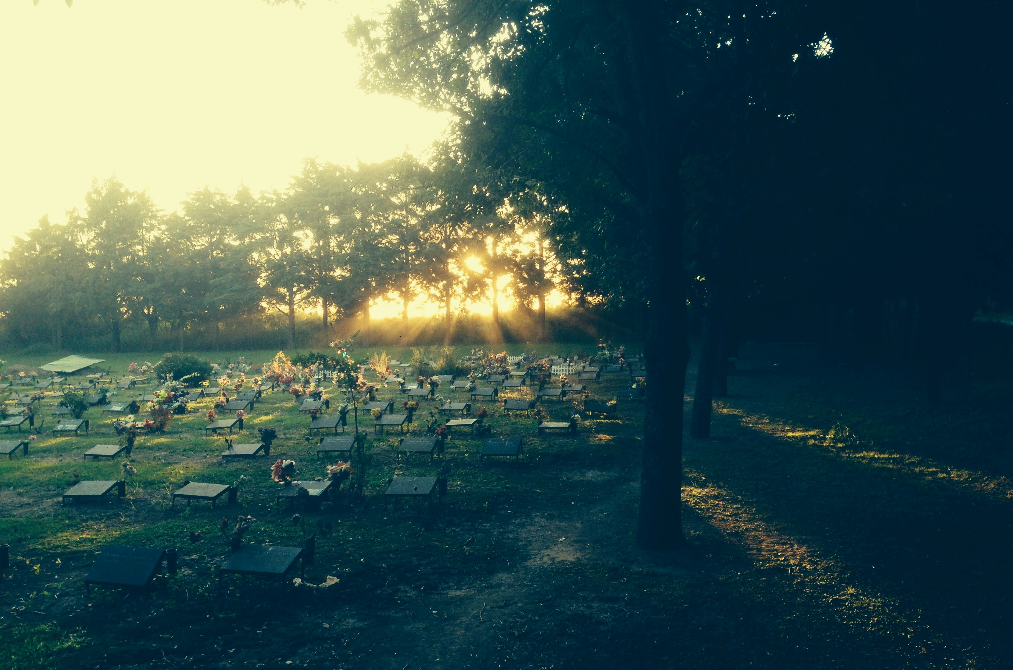 serene sunset over cemetery - funeral home and mortuary