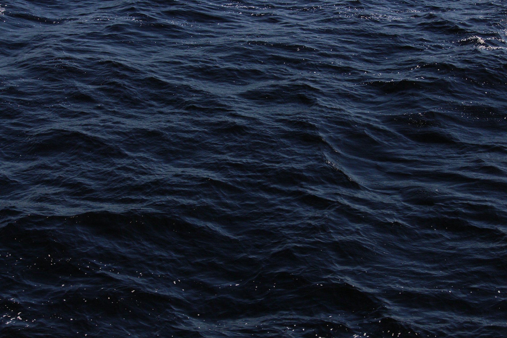 a large body of water with small waves