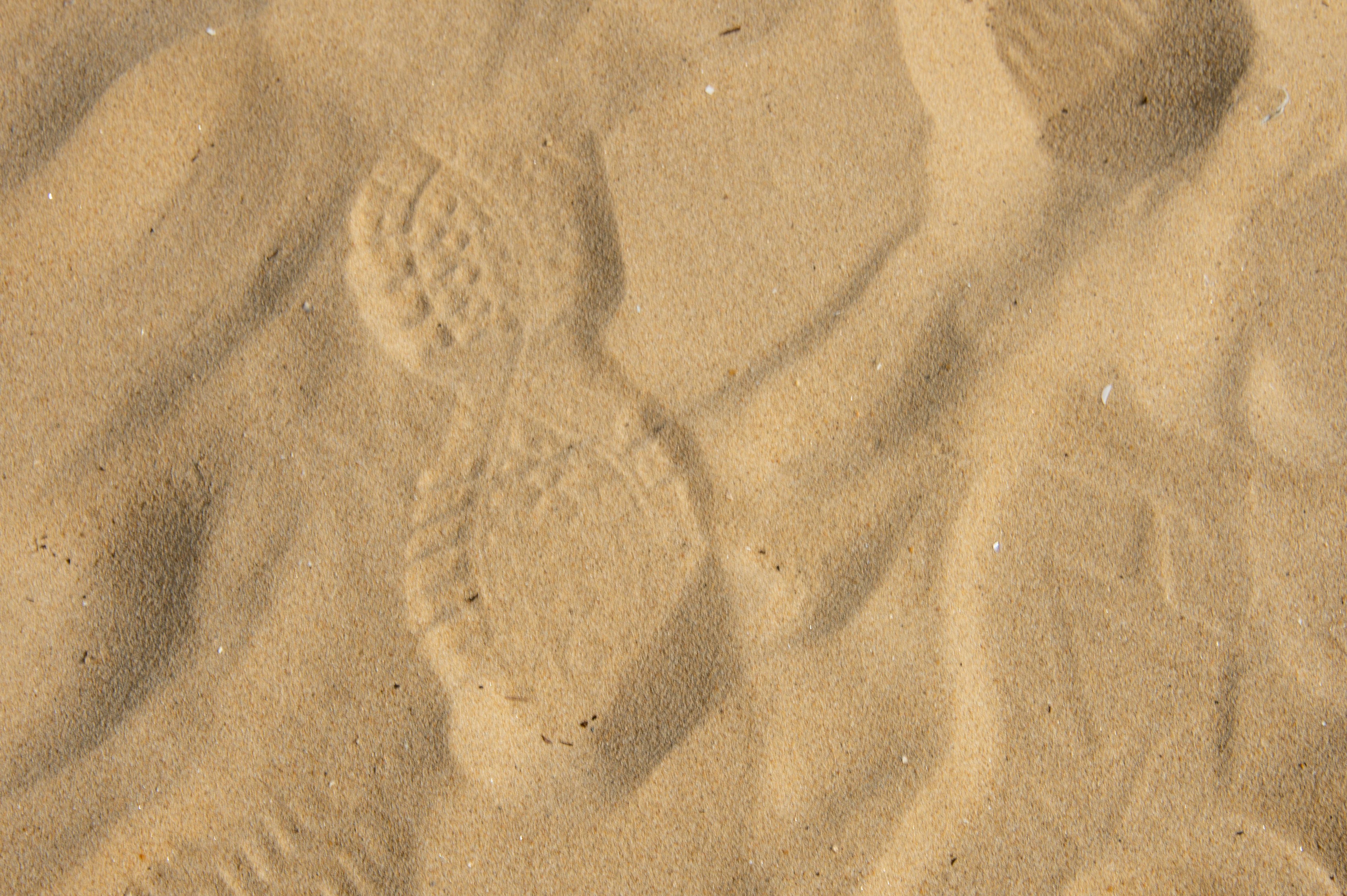 a person's foot prints in the sand