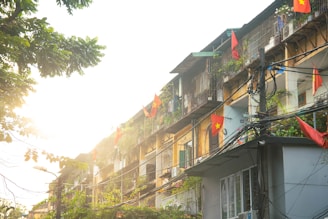 Apartment buildings adorned with numerous flags, likely Vietnamese flags, are seen under bright sunlight. The structures have a mix of metal bars and plants on their balconies. Power lines are prominently visible, adding to the urban setting, and the scene is partially framed by tree branches.