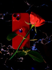 A red smartphone with a reflective Apple logo is placed on a dark marble surface. A vibrant red rose with a long green stem and leaves lies diagonally across the phone.