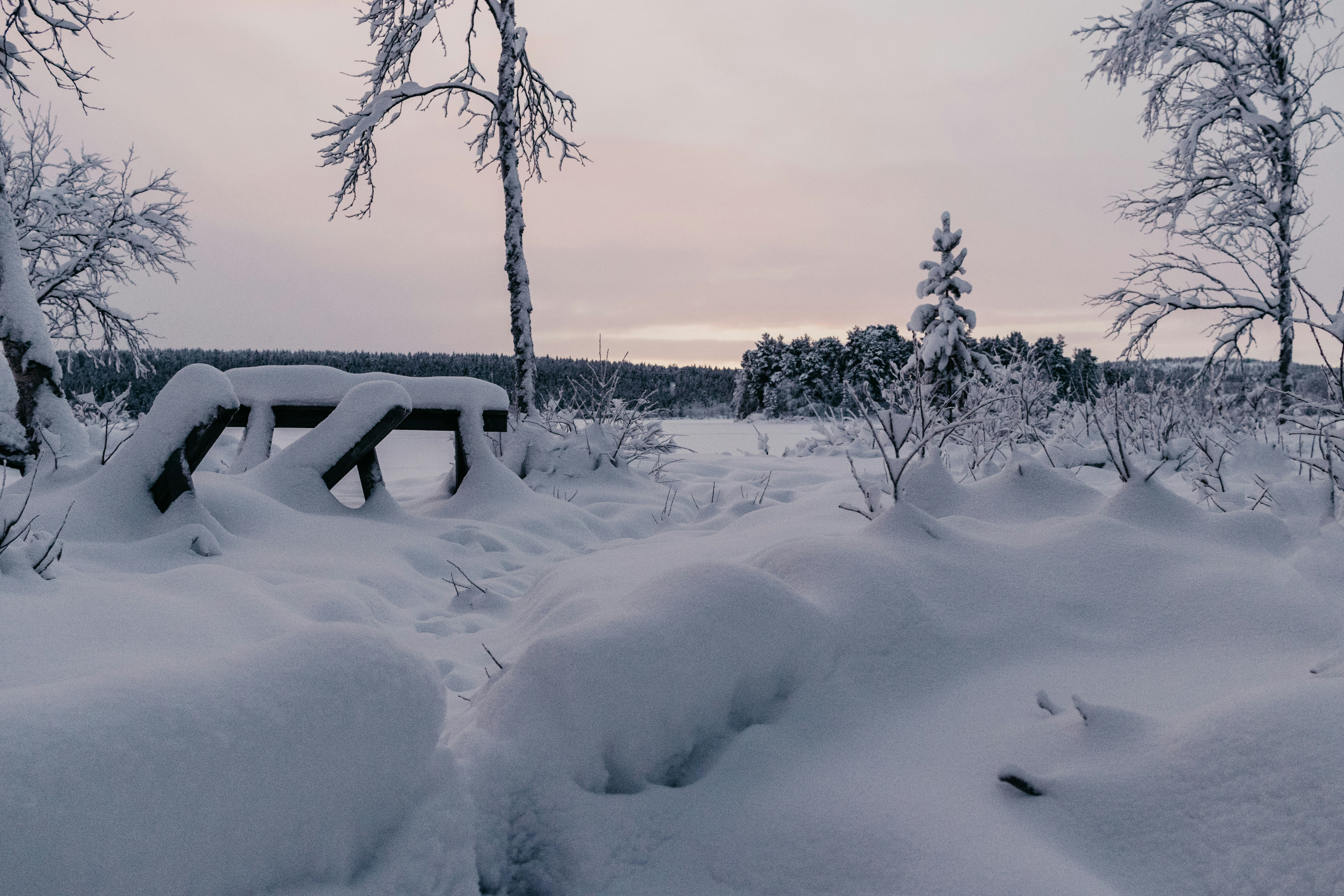 Photo by ewanphotography