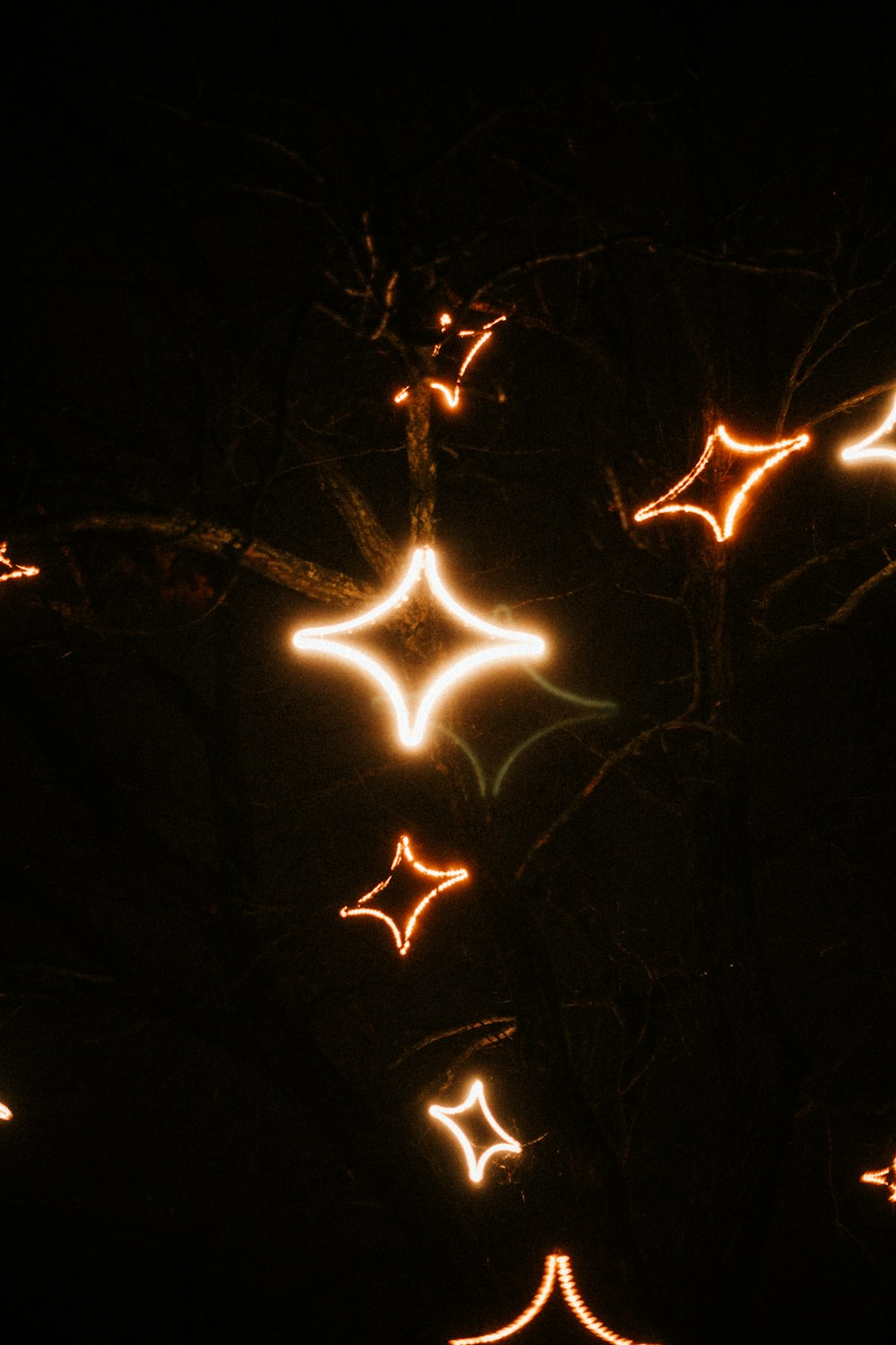 a group of lights that are on a tree