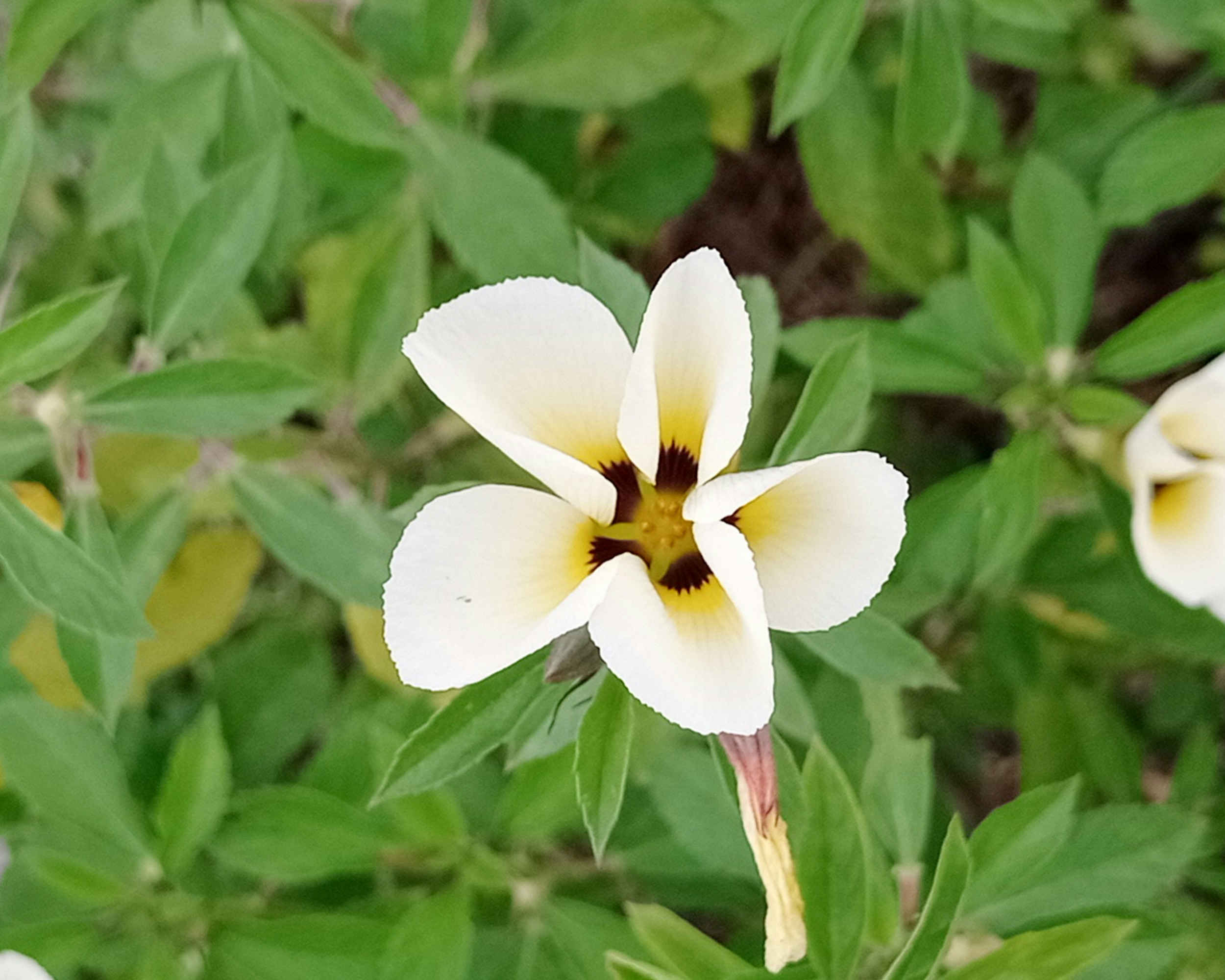 Photo by arkan_maker