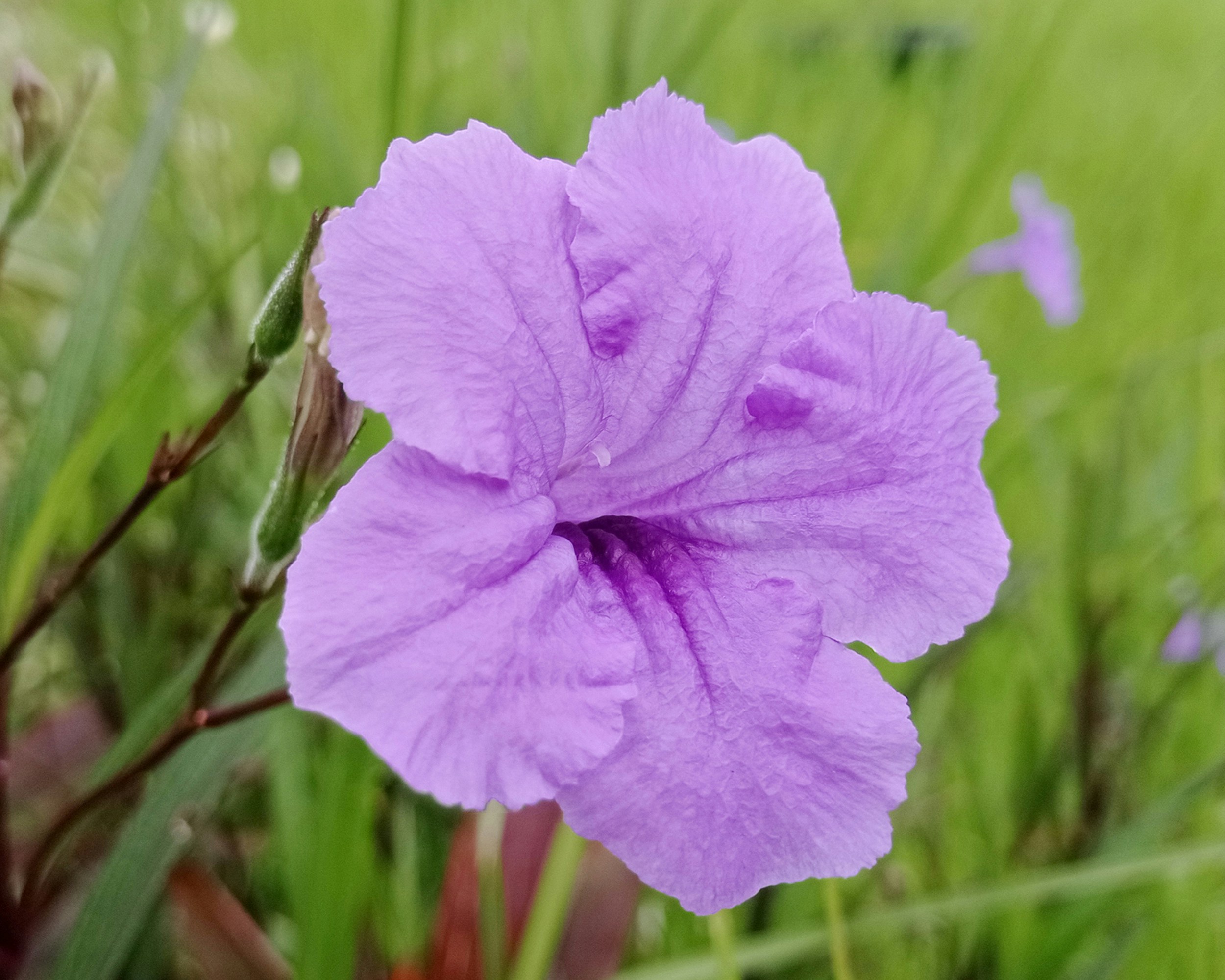 Photo by arkan_maker