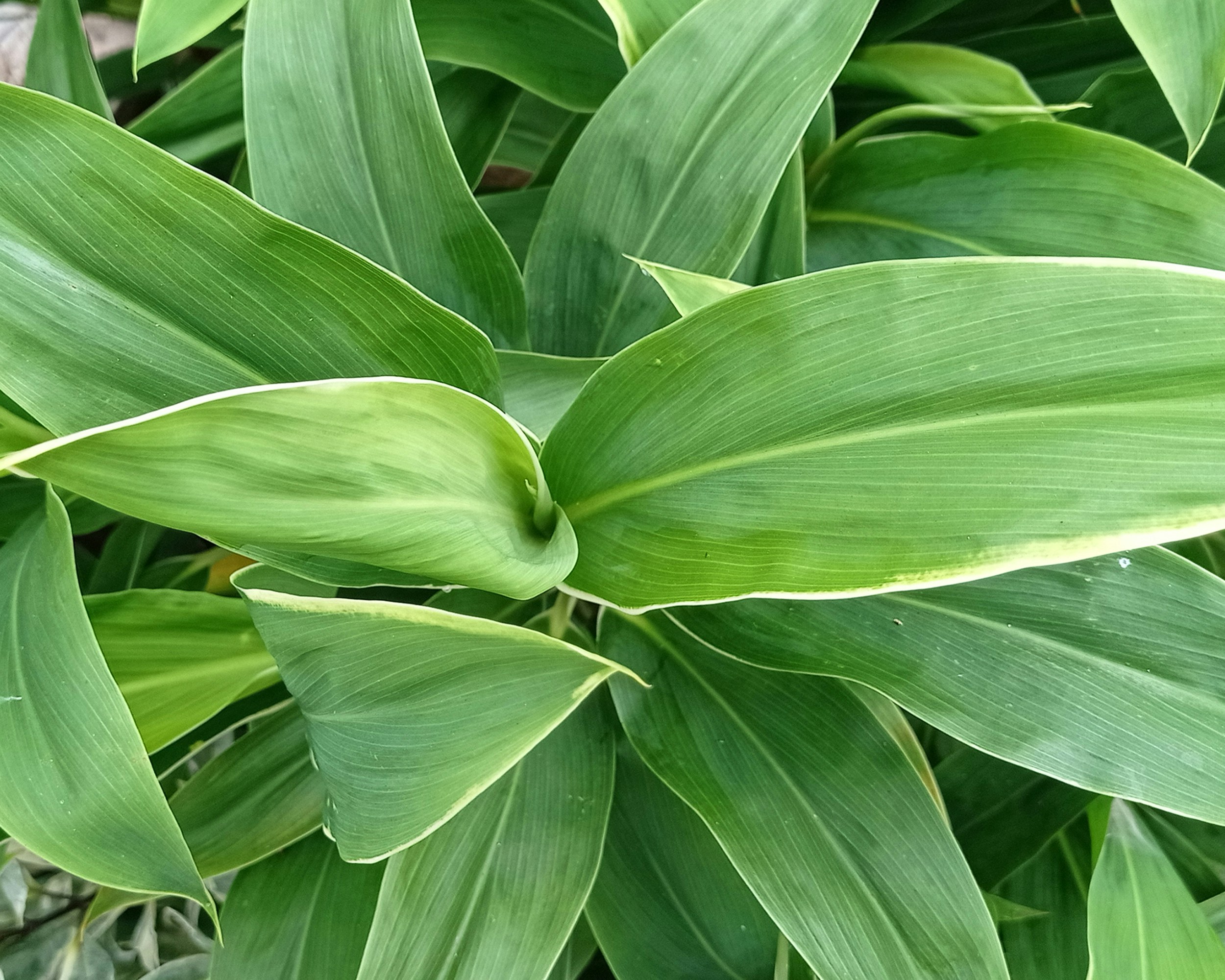 Photo by arkan_maker