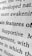 A close-up view of black text printed on a white textured paper. The image emphasizes the words 'features', 'Supportive', and 'awakening' among others, with visible texture of the paper adding a tactile dimension.