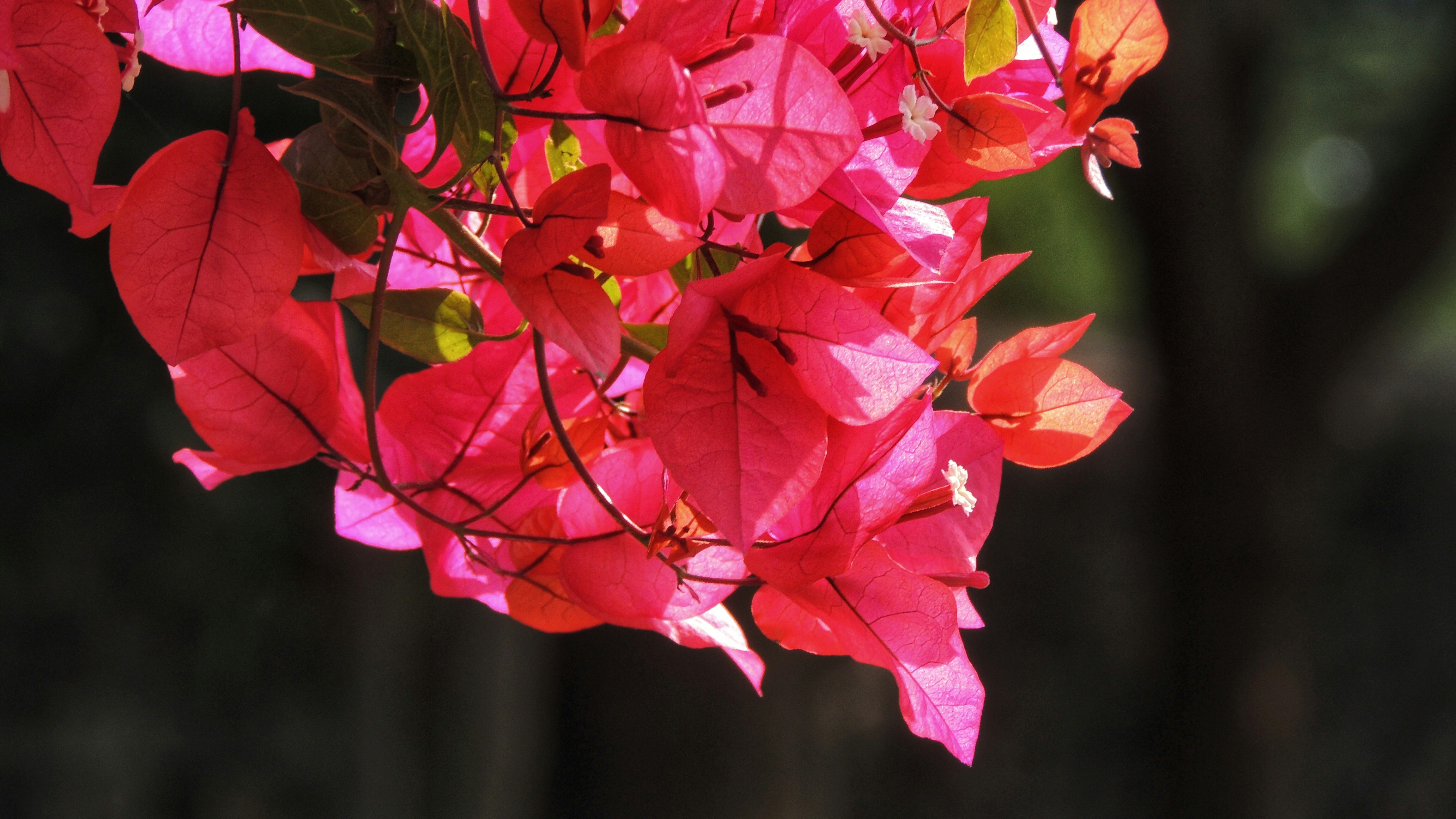 Photo by tetrawastaken