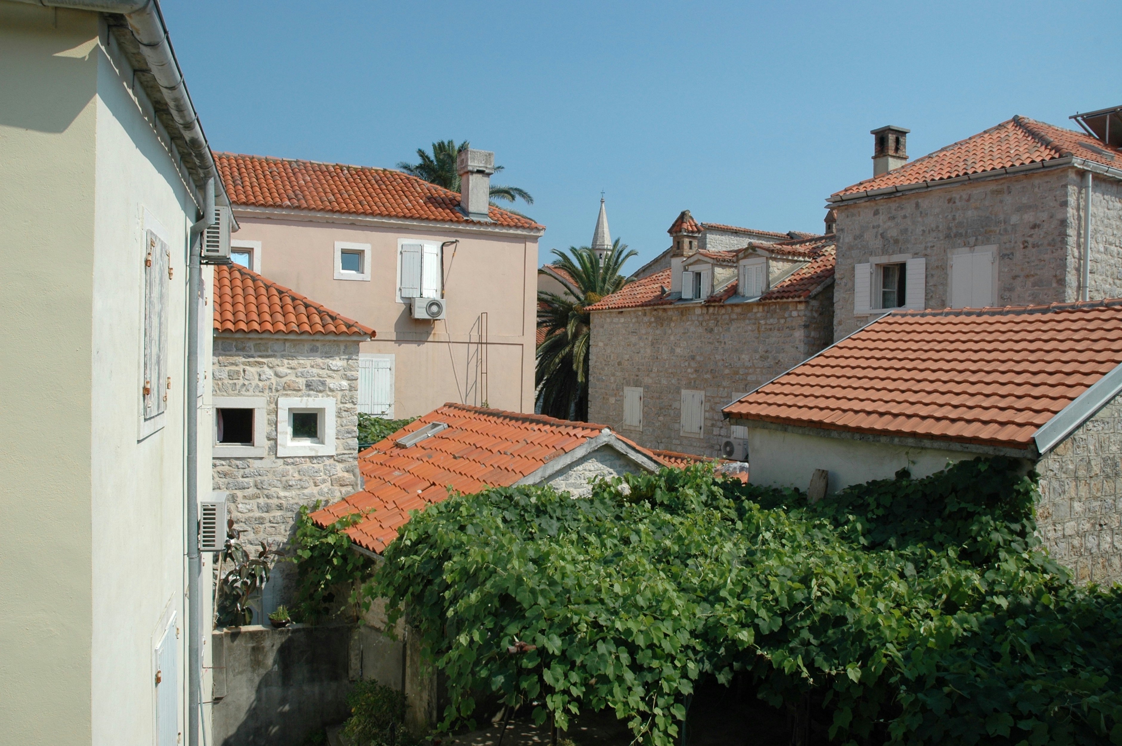 Photo by andras_ratonyi