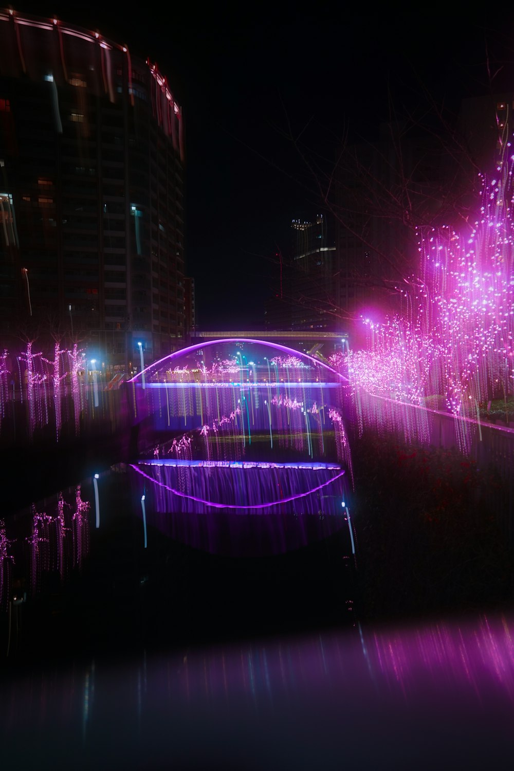 a bridge that is lit up with purple lights