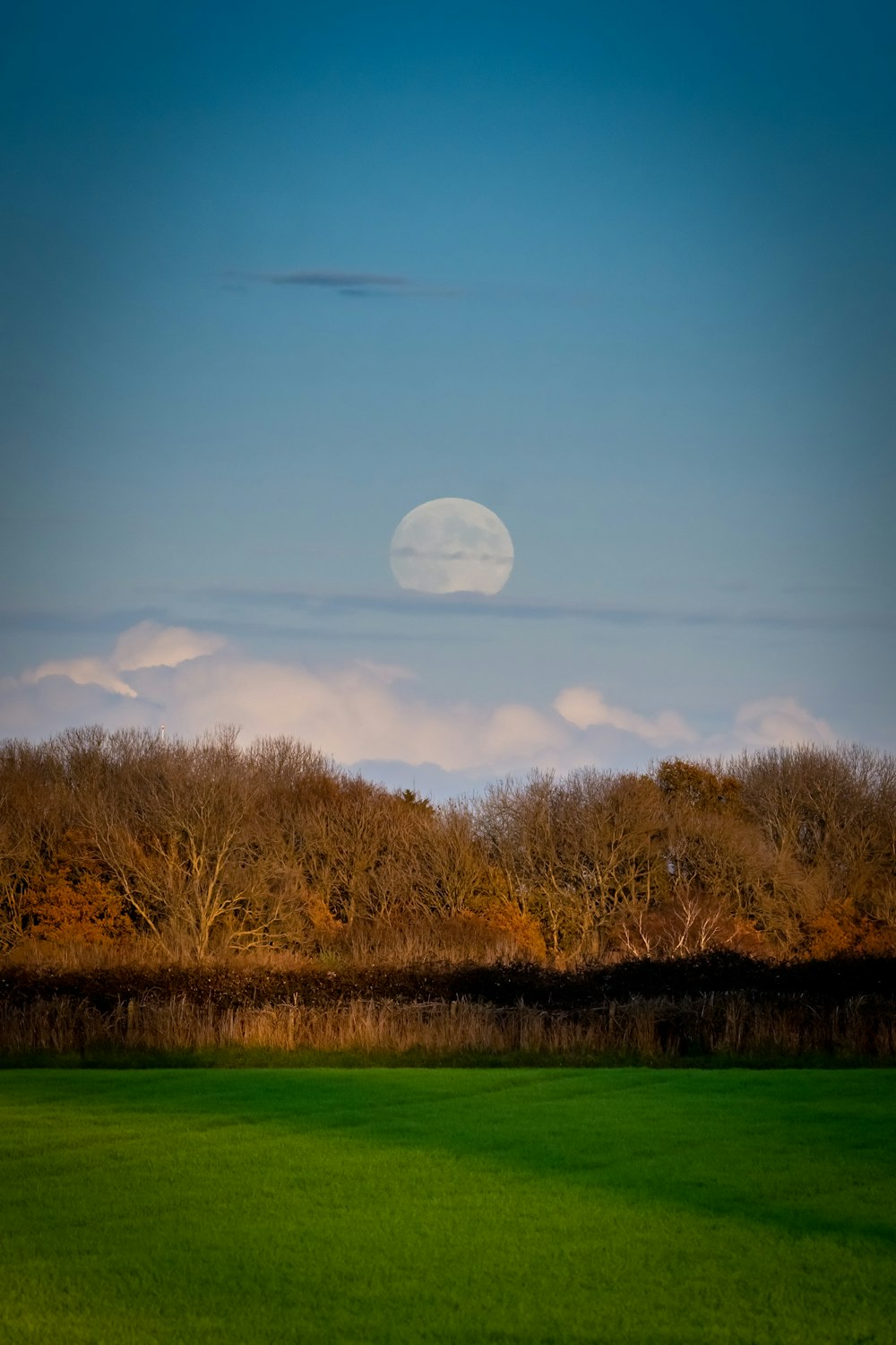 a field with trees and a full moon in the background