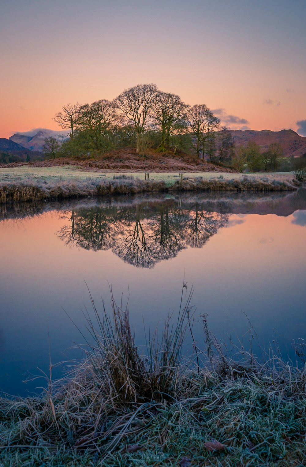 a lake surrounded by grass and trees at sunset