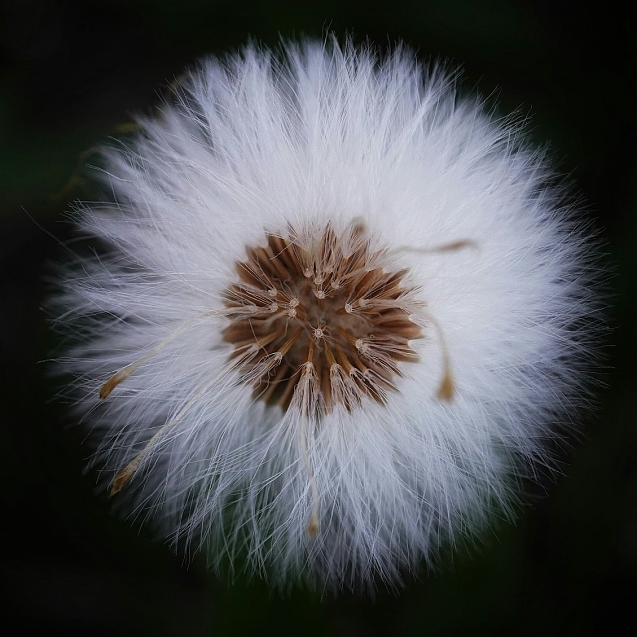Photo by meri_vasilevski