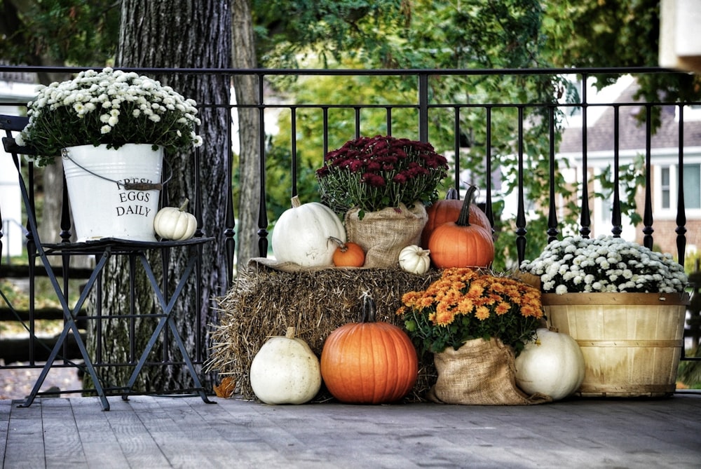 pumpkins, gourds, and flowers on a porch