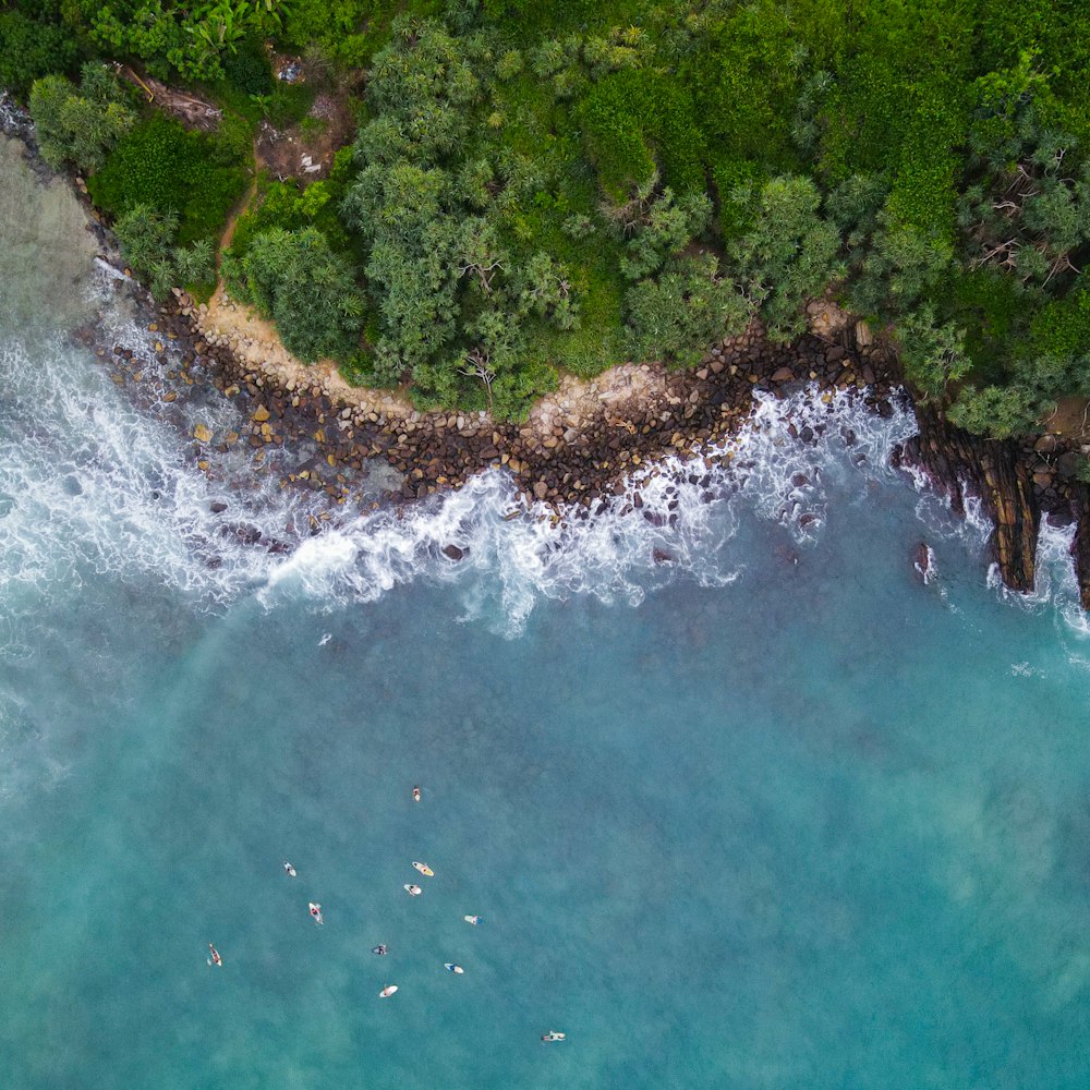 an aerial view of a body of water surrounded by trees