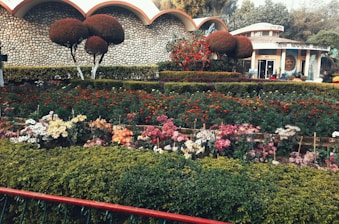 A beautifully landscaped garden with trimmed shrubs and flowers.