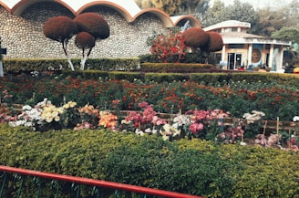 A beautifully landscaped garden featuring a variety of colorful flowers arranged in neat rows. The garden is surrounded by neatly trimmed hedges and ornamental trees, with a stone wall and a structure visible in the background.