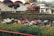 A beautifully landscaped garden featuring vibrant flowers, neatly trimmed hedges, and a stone walkway.
