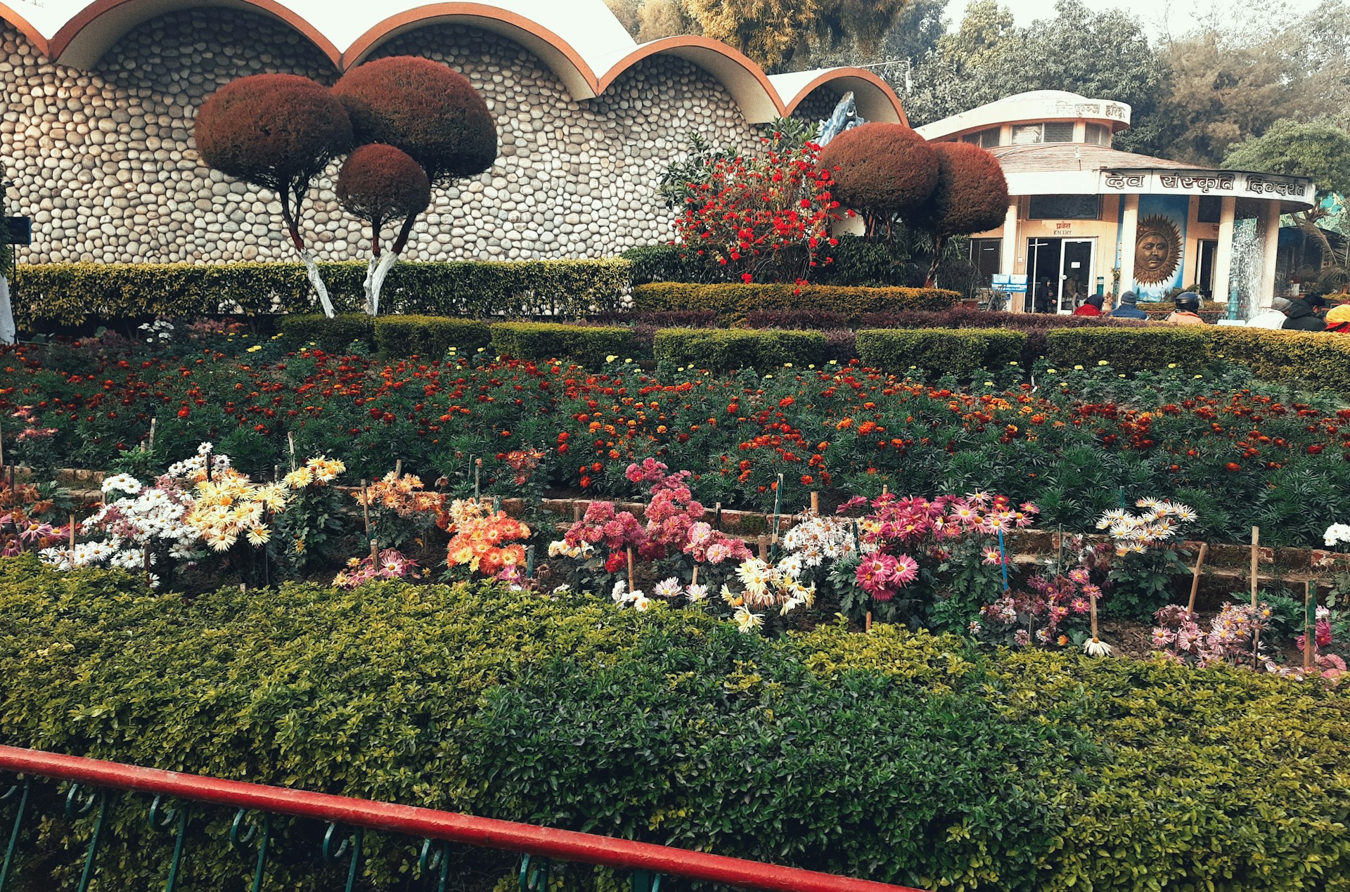 woman wearing yellow long-sleeved dress under white clouds and blue sky during daytime