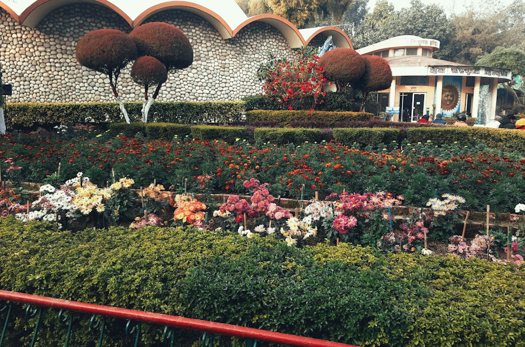 Custom Landscape Design