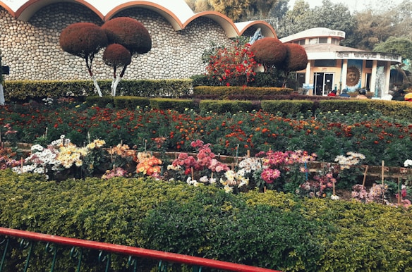 A beautifully landscaped garden featuring a variety of colorful flowers arranged in neat rows. The garden is surrounded by neatly trimmed hedges and ornamental trees, with a stone wall and a structure visible in the background.